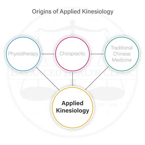 father of kinesiology|New insights into the biography and scientific background of .